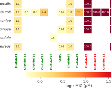 In silico analysis of cliotides from Clitoria ternatea: a step towards identification of cliotides with antibacterial potential