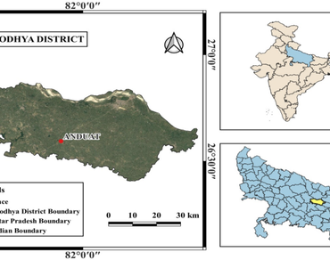 Evaluation of growth and yield potential of turmeric (Curcuma longa L.) under agri-silviculture system in Middle Gangetic Plains of Uttar Pradesh, India 