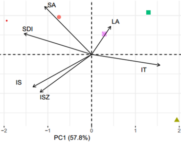 Morphological traits characterization of five Cannabis sativa L. cultivars from the Rif Mountains, northern Morocco