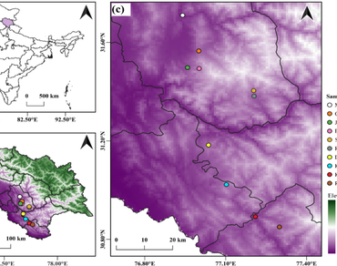 n                     Myrica esculentan                  , Nutrient profiling, Mineral analysis, Genotype selection, Himalaya
