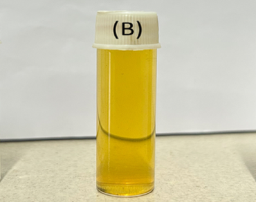 Sustainable biosynthesis and characterizations of silver nanoparticles using Hypoestes phyllostachya Baker leaf extract of Himalayan ranges of India