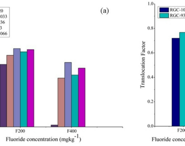 Aluminium alleviates fluoride toxicity in Cyamopsis tetragonoloba by enhancing growth performance and reducing fluoride uptake