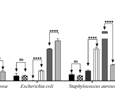 Himatanthus drasticus (Mart.) Plumel (APOCYNACEAE): phytochemical profile, evaluation of antibacterial and drug-potentiating activity, and toxicity of stem bark extracts