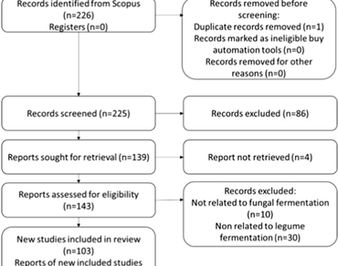 Fungal fermentation of underutilized legumes: global bibliometric mapping and functional properties insights 