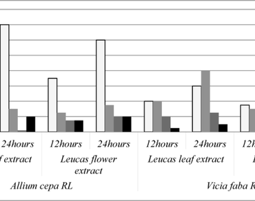 Genotoxic potential of aqueous extracts of Leucas aspera (Willd.) link: insights from Allium cepa and Vicia faba assays