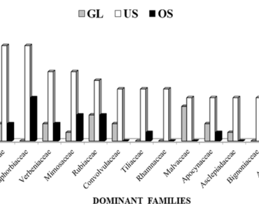 Community composition and reproductive phenology of plants across vertical strata in Sal forests of North Gorakhpur Division, India