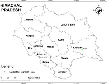 New distributional record of Allium rosenbachianum Regel from India