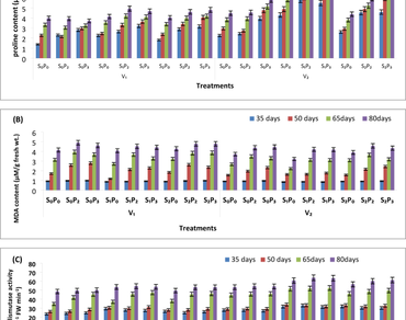 Mitigating the adverse effects of PEG 6000 imposed water stress during germination of halo primed rice seeds var. HUR-3022 and Sahabhagidhan on vegetative and reproductive growth phases
