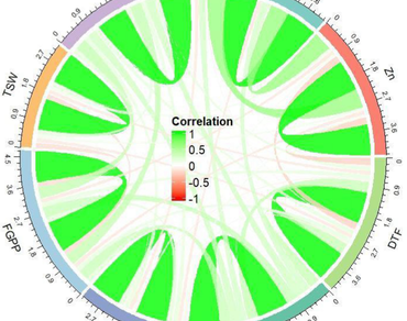 Multi-trait index-based delineation and selection of promising rice genotypes for yield and nutritional quality