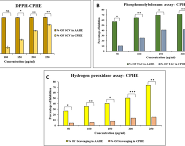 Assessing the antioxidant capacity of caulerpa peltata via phytochemical insights