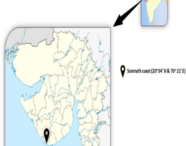 Algal diversity of economically important species from a selected site of the Veraval coast, Gujarat, India