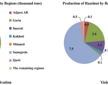 Agronomic analysis of hazelnut cultivars in Georgia: morphological and technical characteristics