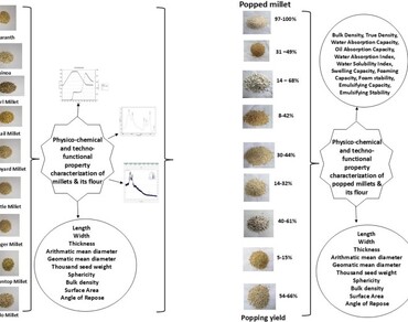 Comparative study on techno-functional properties in popped millets and pseudocereals