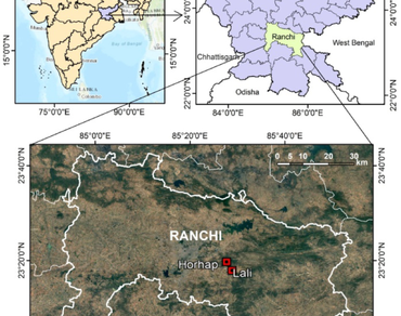 Diversity of lichens in Horhap forest beat, Jharkhand, India