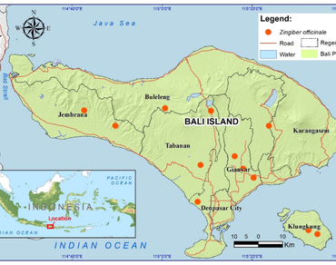 Habitat suitability model of an usada medicinal plant Zingiber officinale (based on bioclimatic variables) and its conservation in Bali