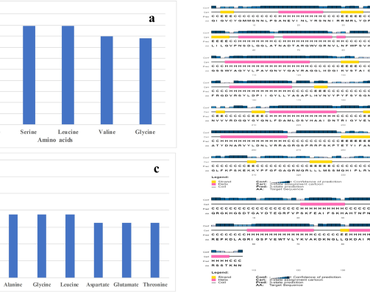 Molecular docking and interaction studies of stress responsive protein in Phaseolus vulgaris L. an in-silico perspective on comprehending stress tolerance mechanism