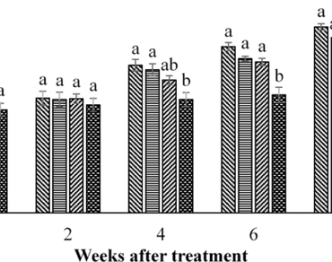 NaCl-induced changes in leaf anatomy, stomatal characteristics and physiological traits of in vitro tobacco plantlets